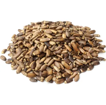 Sušená potravina Ostropestřec semínko 1 kg VIA NATURAE