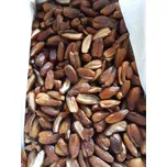 Datle Deglet Nour BIO bez pecky Industry 3 kg LES FRUITS DU PARADIS