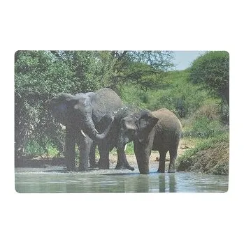 Hra na zahradu Podkładka na biurko piankowa słonie 60x40cm
