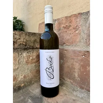 Víno Sauvignon 2022, pozdní sběr, Vinařství Bočko, suché