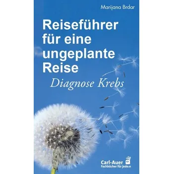 Reiseführer für eine ungeplante Reise - Brdar, Marijana