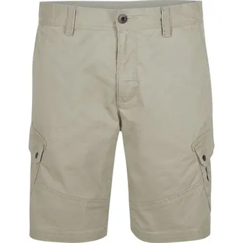 Pánská móda Pánské šortky O'Neill COMPLEX 32 Béžová
