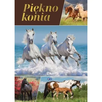 Piękno konia - praca zbiorowa