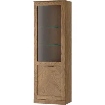 Knihovna Vitrína MIRI 10 1D dub rustikální