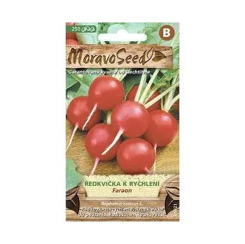 Semeno Semínka MoravoSeed Ředkvička k rychlení FARAON, kulatá červená 65921