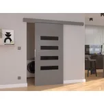 Posuvné dveře Forli - 96 cm s tlumeným dojezdem Barva: Šedá