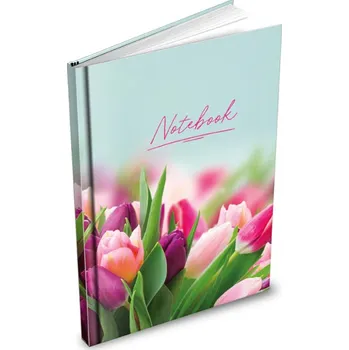 Zápisník Záznamní kniha A6 100ls čistá mix motivů