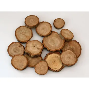 Canea Polsko - Přírodní dřevěný plátek - prům. 3 - 5 cm - dekorace - přírodní