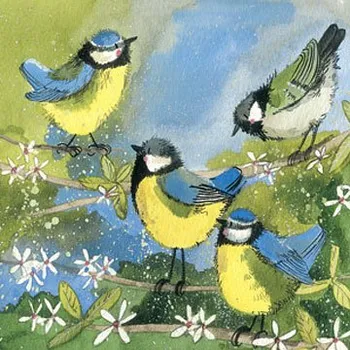 Přání v obálce Great tits,od ALEX CLARK 14*14 cm (Blahopřání ptáčci, ptáček, sýkorka)