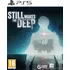 Hra pro PlayStation 5 Still Wakes the Deep PS5