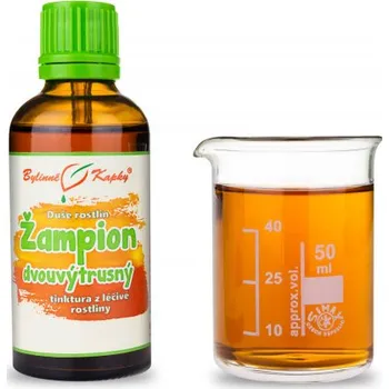 Přírodní produkt Bylinné kapky s.r.o. Žampion dvouvýtrusný 50 ml