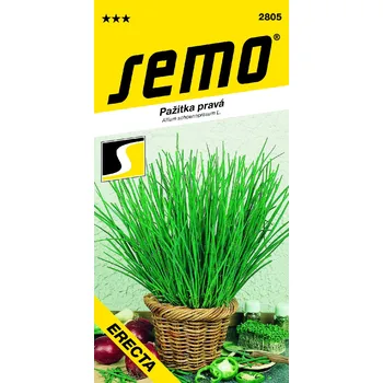 Semeno Semo Pažitka pravá - Erecta