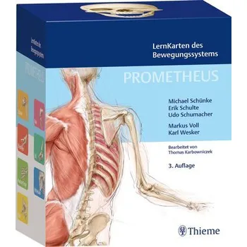 PROMETHEUS LernKarten des Bewegungssystems