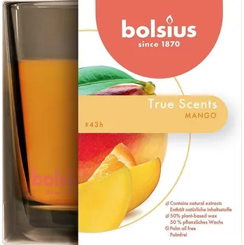 Svíčka Sviečka Bolsius Jar True Scents 95/95 mm, mango, 2172713