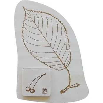 Puzzle Skládačka LISTY č.10013 - TŘEŠEŇ PTAČÍ