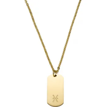 Náhrdelník Ocelový náhrdelník hvězdného znamení Ryb zlaté barvy - Lucleon