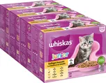 Whiskas Junior drůbeží výběr v želé