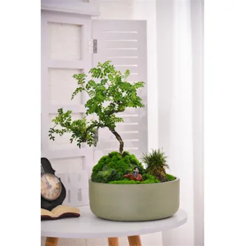 Hrnec Hrnec Domoletti M-21GD15, spw, H 15 cm, zelený