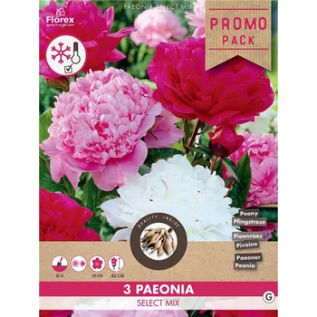 Semeno Směs PROMO Pivoňky 3ks