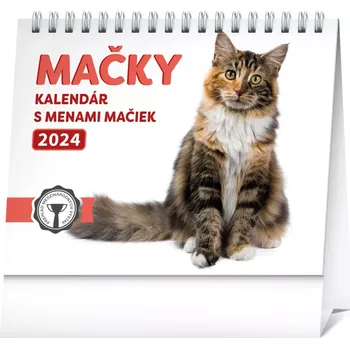 Kalendář Stolní kalendář Mačky 2024 s kočičími jmény 16,5 × 13 cm