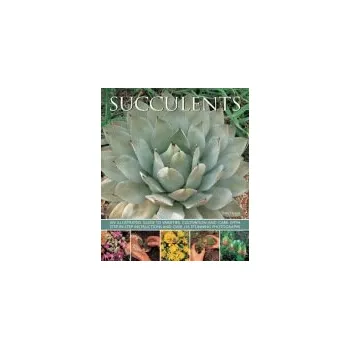 Cizojazyčná kniha Succulents - Hewitt Terry