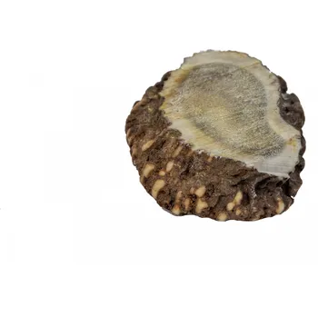 Hračka pro psa Jelení paroh Parožík kulatina XS