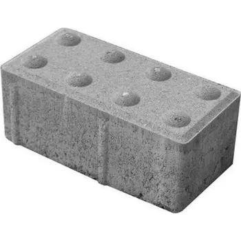 Dlažba zámková BEST Klasiko pro nevidomé přírodní – 200×100×60 mm