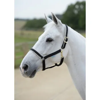 Bucas Ohlávka Dublin Bucas, black/silver COB