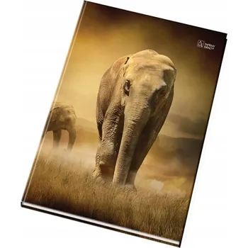 Sešit Linkovaný sešit A5 Junior 200 listů