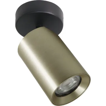 Zuma Line Tore stropní světlo 1x50 W zlatá TLS006-GLD