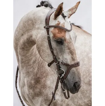 PS of Sweden Uzdečka Nirak PS of Sweden, hnědá FULL