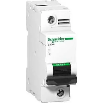 Jistič Schneider Electric A9N18489 Jistič C120H 1P 63A D