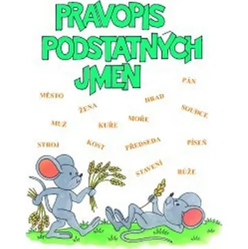 Český jazyk Pravopis podstatných jmen (Procvičovací sešit pro 4. ročník ZŠ)