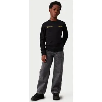 Pánská mikina Calvin Klein Jeans Mikina Terry Graphic Cn IB0IB02212 Černá Regular Fit 10Y