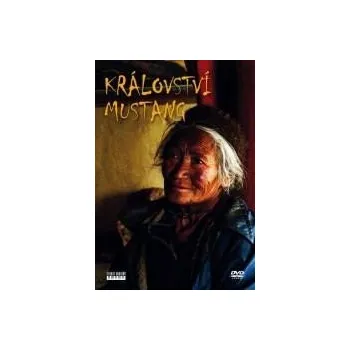 DVD film Království Mustang DVD