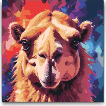 Malování podle čísel - Velbloud v odstínech červené a modré Velikost: 50x50cm, Rámování: Pouze srolované plátno