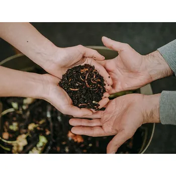 Kompostér Jakub Filip Kalifornské žížaly do vermikompostéru – násada