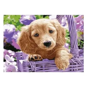 Set školních potřeb Mozaika diamentowa 5D - Pies 40x30cm