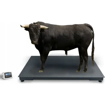 Průmyslová váha Podlahová váha na 2 tuny 120x200 cm