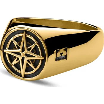 Prsten Atlas | Pečetní prsten z nerezové oceli Polárka zlaté barvy - Arkai