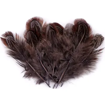 Výtvárné potřeby Bažantí peří délka 5-7 cm, barva 8 šedohnědá