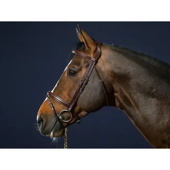Uzdečka DYON New English - hnědá, FULL