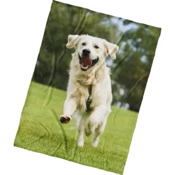 Dětská deka Deka mikroplyšová Zaltý Retrívr, 150*200 cm (Deky s pejskem, pes)