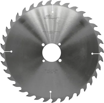 Pilový kotouč Pilový kotouč SK 450x4,0/2,8x80 5381 36 WZ SM