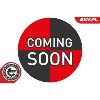 Řídicí páka, zavěšení kol ESEN SKV 04SKV162