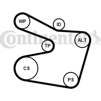 Motor automobilu CONTITECH Vodní pumpa klínového drážkového řemenu CTT 6PK1538WP2
