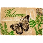 Rohož 60x40cm MOTÝL welcome, kokos