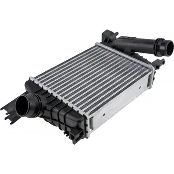 Chladič motoru MEZICHLADIČ DACIA DUSTER (10-) 1.2 TCE, CAPTUR (13-) 1.5 DCI, CLIO IV (13-) 1.5 DCI (MAN, AC +, BENZÍN) 144961381R NTY