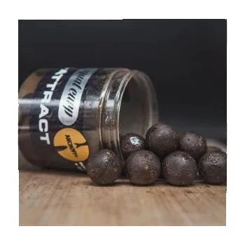 Boilies Squat Carp Hi-Attract Boilies v dipu Anchovy+ 20mm 220gr