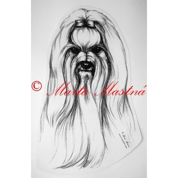 Samolepka maltézský psík - archiv c185 - Malá - přibližně jako pohlednice